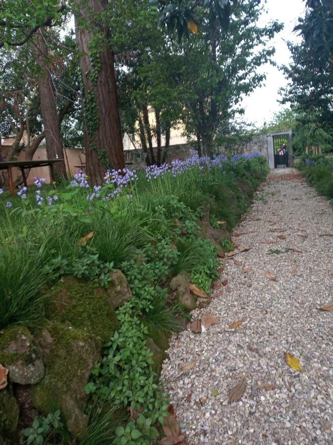 B&B Villa Gualterio 博尔塞纳 外观 照片